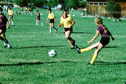 Field, Boys, Running, Playing, Kicking, Soccer Ball