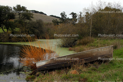 Boat, Pond, Two-Rock, Sonoma County