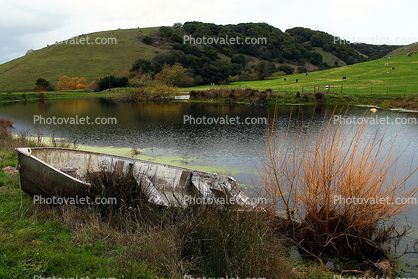 Rowboat, Boat, Pond, Two-Rock, Sonoma County