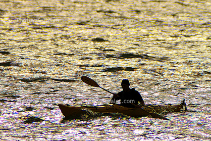 Kayak in the golden sunshine