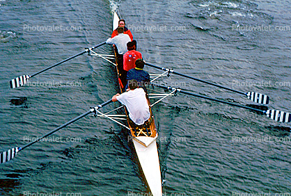 Sculling, Rowing Needle, Single Scull