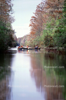 Okeefenokee Swamp, bayou, reflection, wetlands