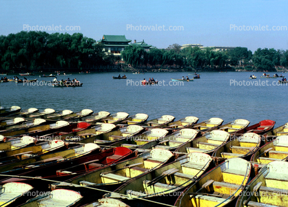 rowboats, Beijing China, 1960s