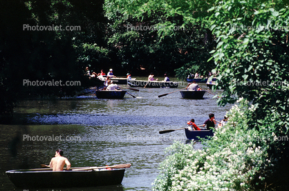 Rowboats, river, pond