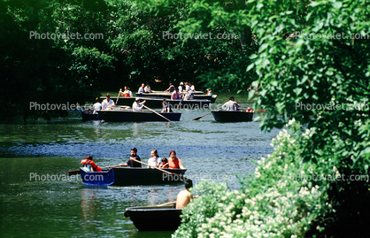 Rowboats, river, pond