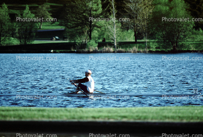 Rowing Needle, sculling, rowing, water, lake, man