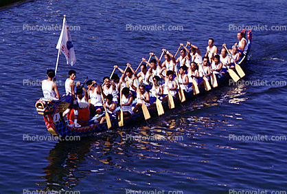 Team Rowing, Dragon Boat, Longboat, Taipei Taiwan
