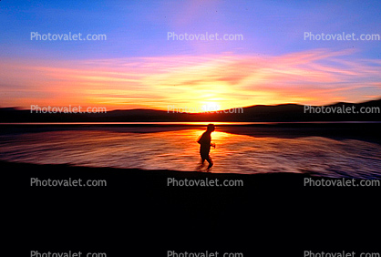 Man Running, Tiburon Linear Park, Sunset