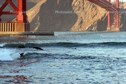 Fort Point, Surfing, San Francisco, California