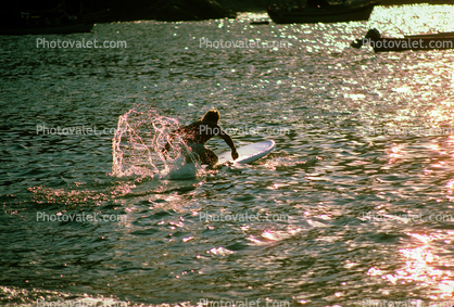 Surfer Padeling on a surfboard, Yelapa, Mexico