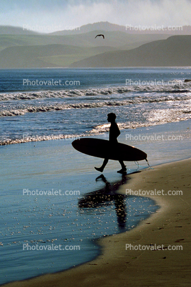 Drakes Bay, Surfboard, Surfer
