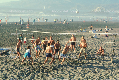 sand, beach, activity, exercise, net, ocean, ball
