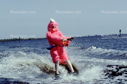 Pink Bird, Costume, funny