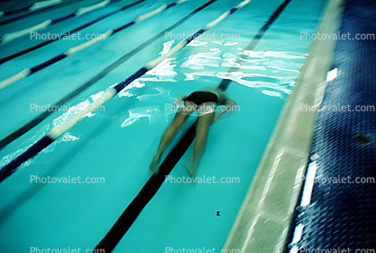 Swimmer, Lane, Natatorium, Pool