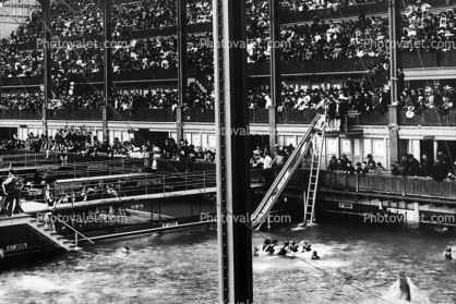 Sutro Baths, swimmers, complex, crowds, onlookers, gallery