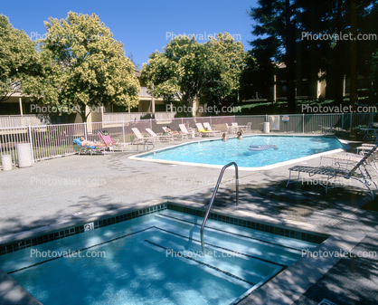 Backyard Swimming Pool, Apartments, Lounge Chairs
