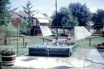 Backyard Pool, 1960s