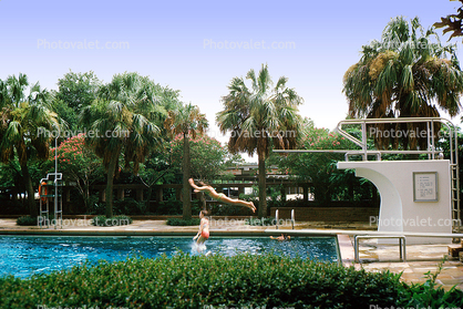 Swimming Pool, Diving Board, Palm Trees, Summer, Summertime