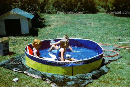 Lawn, Backyard Swimming Pool, Water, Doghouse, 1950s