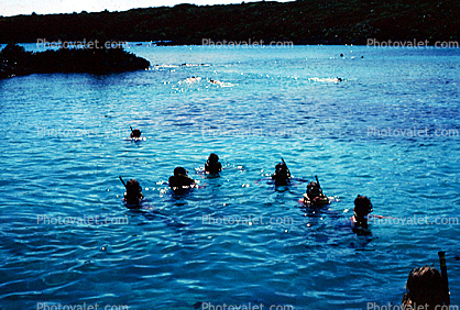 Snorkeling, Xel Ha, Xel-Ha, Quintana Roo