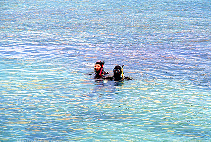 Snorkeling, Monterey Bay, California