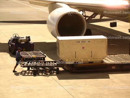 Boeing 767, Honolulu International Airport (HNL), Highlift Pallet Truck, ground personal, Air Cargo Pallets