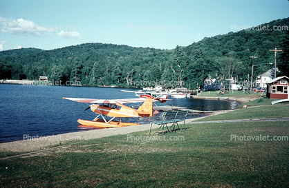 Lake Placid, Forest, Woodlands, Lakeside, August 1972, 1970s