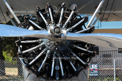 Radial Engine, Chrome Propeller