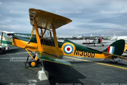 N1300D, Dehavilland Tiger Moth DH 82A
