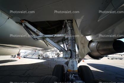 Main Landing Gear, N301UP, Boeing 767-34AF, 767-300 series