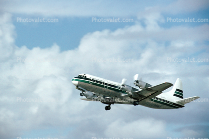 N7137C, Lockheed L-188A Electra, Evergreen International Airlines