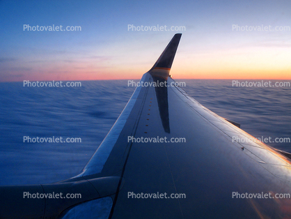 Boeing 737, Twilight, Dusk, Dawn, lone Wing in Flight