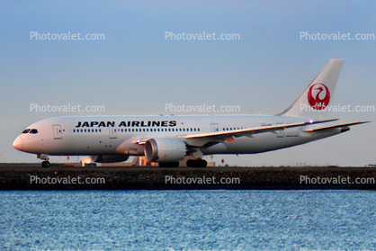JA832J, Boeing 787-846, Japan Airlines JAL, SFO, 787-8 series, GEnx-1B64