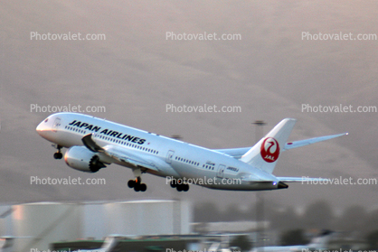 JA832J, Boeing 787-846, Japan Airlines JAL, SFO, 787-8 series, Taking-off, GEnx-1B64