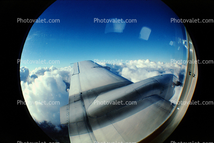Lone Wing in Flight, Window, Embraer Bandeirante EMB-110