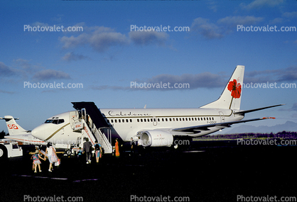 F-ODGX, Boeing 737-33A, Air Caledonia, 737-300 series, CFM56-3B2, CFM56