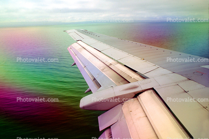 Rainbowed Lone Wing in Flight, 10/09/1993