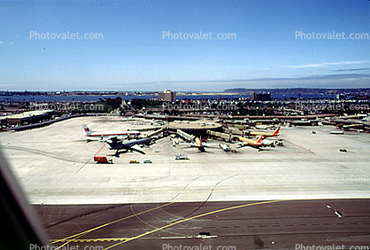 Terminals, Boeing 737, SWA, Lindbergh Field, Point Loma