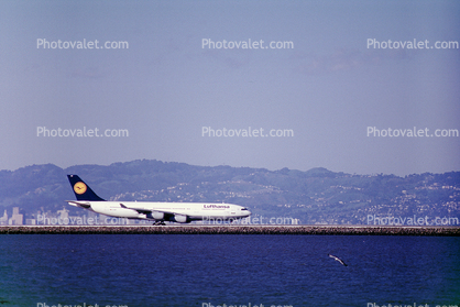Airbus A340, San Francisco International Airport (SFO), Lufthansa