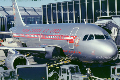 C-FZUH, Airbus A319-113, 319 series, Trans Canada Airlines, CFM56-5A4, CFM56