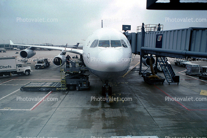 D-AIBH, Airbus A340-211, Lufthansa, Bremerhaven, CFM56-5C3/F, CFM56, head-on