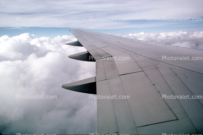 Flaps, Lone Wing in Flight, United Airlines, UAL