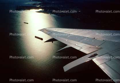 Lone Wing in Flight, San Francisco Bay