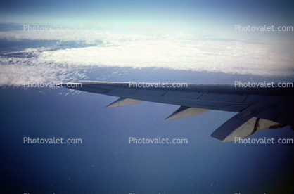Wing of a Boeing 737, Southwest Airlines SWA, Lone Wing in Flight