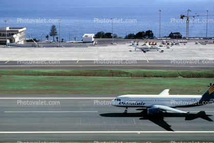 OY-CNR, Airbus A320-211, Premiair, Funchal Madeira, CFM56, CFM56-5A1