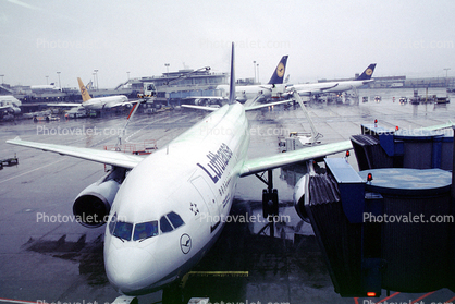 Lufthansa, Airbus A320 series, Freezing weather conditions, De-icing, Ice Removal
