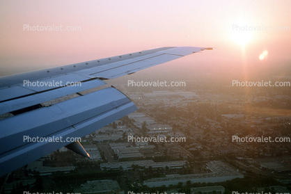 Lone Wing in Flight, Flaps, Irvine, California, Sunset
