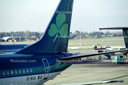 EI-BXD, Aerlingus, Boeing 737, Dublin, Ireland