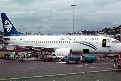 ZK-NGA, Wellington New Zealand, Boeing 737, Air New Zealand ANZ