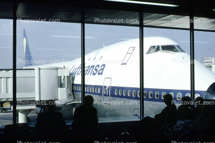 Lufthansa, Airlines